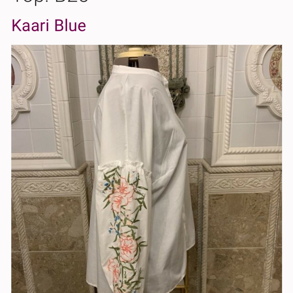 Kaari Blue White Blouse with Floral Embroidery, Sz 2X